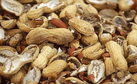  不烂|兰花喜欢“三垃圾”，土里埋一点，不烂根猛窜芽，爆出一圈大花苞