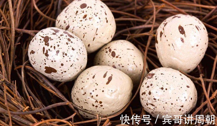 可单|天然的“雄激素”,男人40后,每天吃一口,精力旺盛更年轻