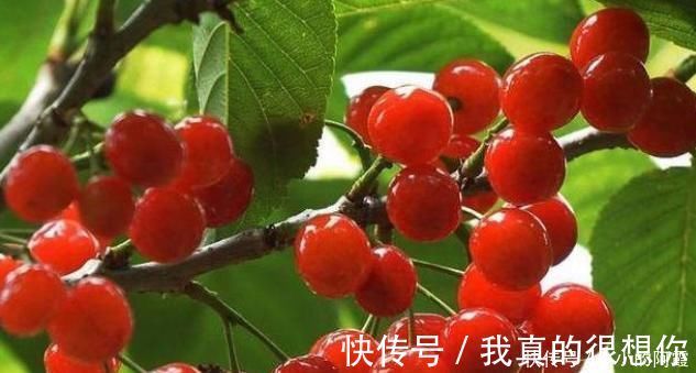 维他命中年女性，适合常吃3种食物，延缓衰老，降压降脂，好处多多