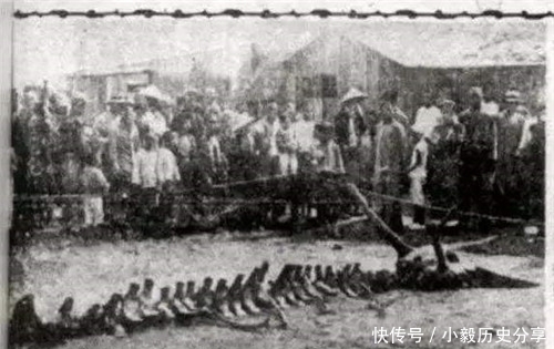 愣住|世上真有龙?东北老人称见过,还拿出“龙骨”,专家看后直接愣住