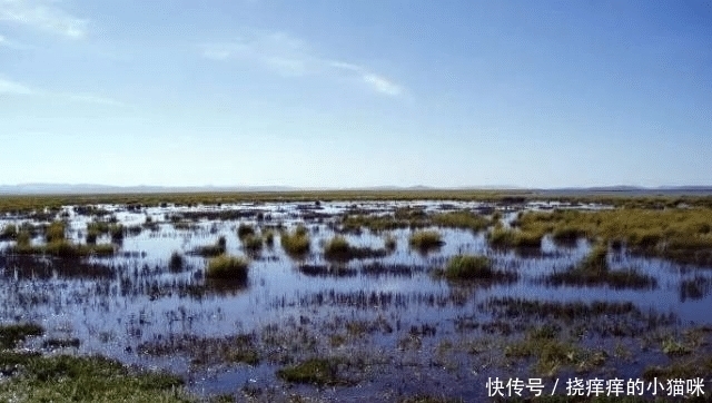 草地|红军当年长征时走过的草地, 如今变成了什么样子? 说出来你别不信