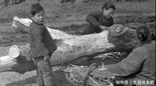 鱼虾|古代饥荒人穷吃不上饭,河里却鱼虾泛滥,为何不下河捕鱼虾吃?