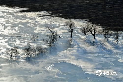 泉水涌动红柳报春 大兴安岭的春天要来啦