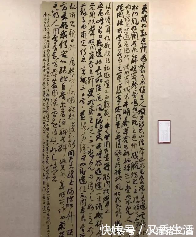 国展$“烧鸡体”成为12届国展的新宠儿,用笔时新时古,古今合一