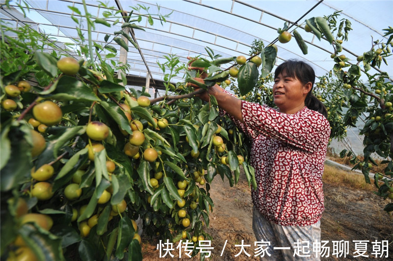心脑血管|入冬后,聪明的女人喜欢吃3物,对皮肤很好,还能赶跑贫血
