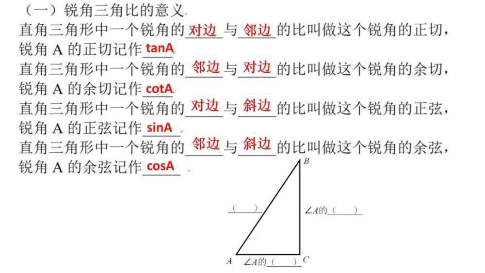 复习|锐角三角比基础复习（许嘉雯）