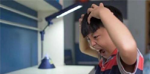 深海鱼|大脑最喜欢的食物排行榜,核桃只排到第四,常吃的下酒菜排第一