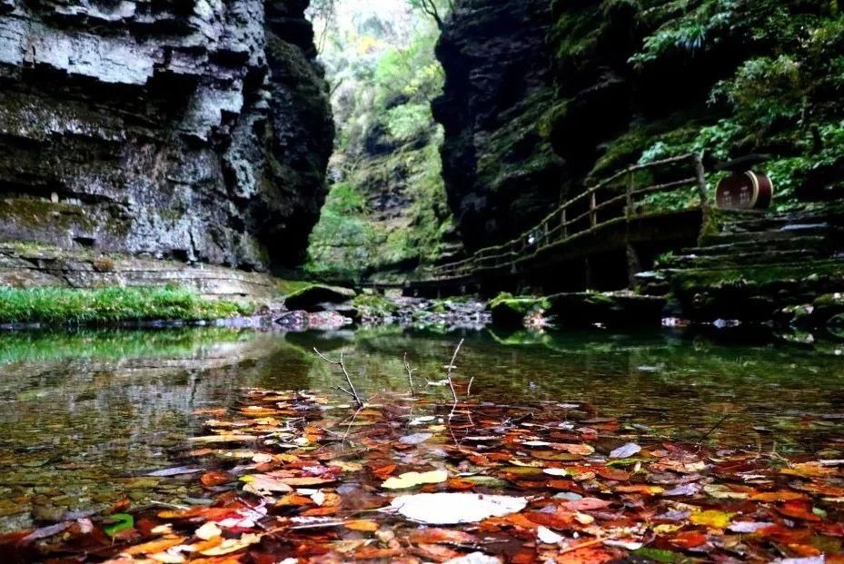  颜值|鼓城山红叶迎来颜值巅峰，快去打卡吧~