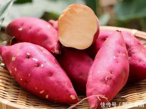 肠胃|便秘让人烦恼，但身边这3种饮食有润肠、通便的作用，不妨来看看