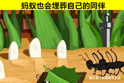 听起来像小说,但却是真实存在世界上的8个有趣冷知识