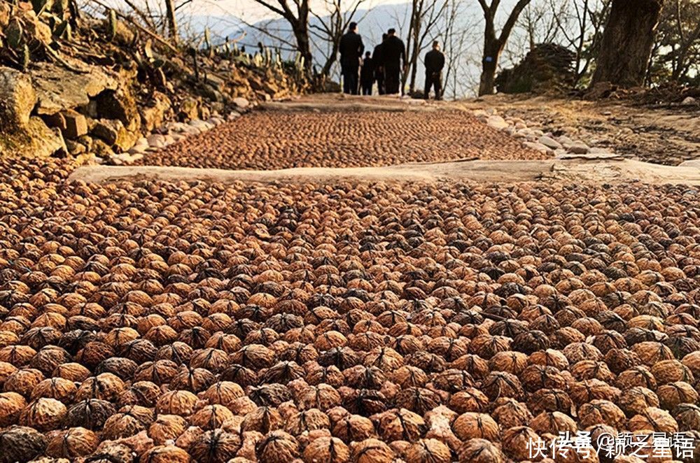 漾濞|漾濞石门关峡谷，插天拔地，徐霞客也曾游历