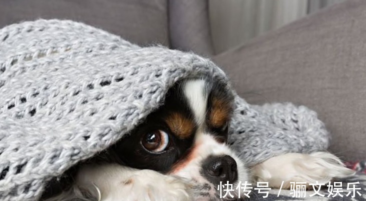 林医师|肾阴虚还是肾阳虚,男科医生教你几招快速辨识