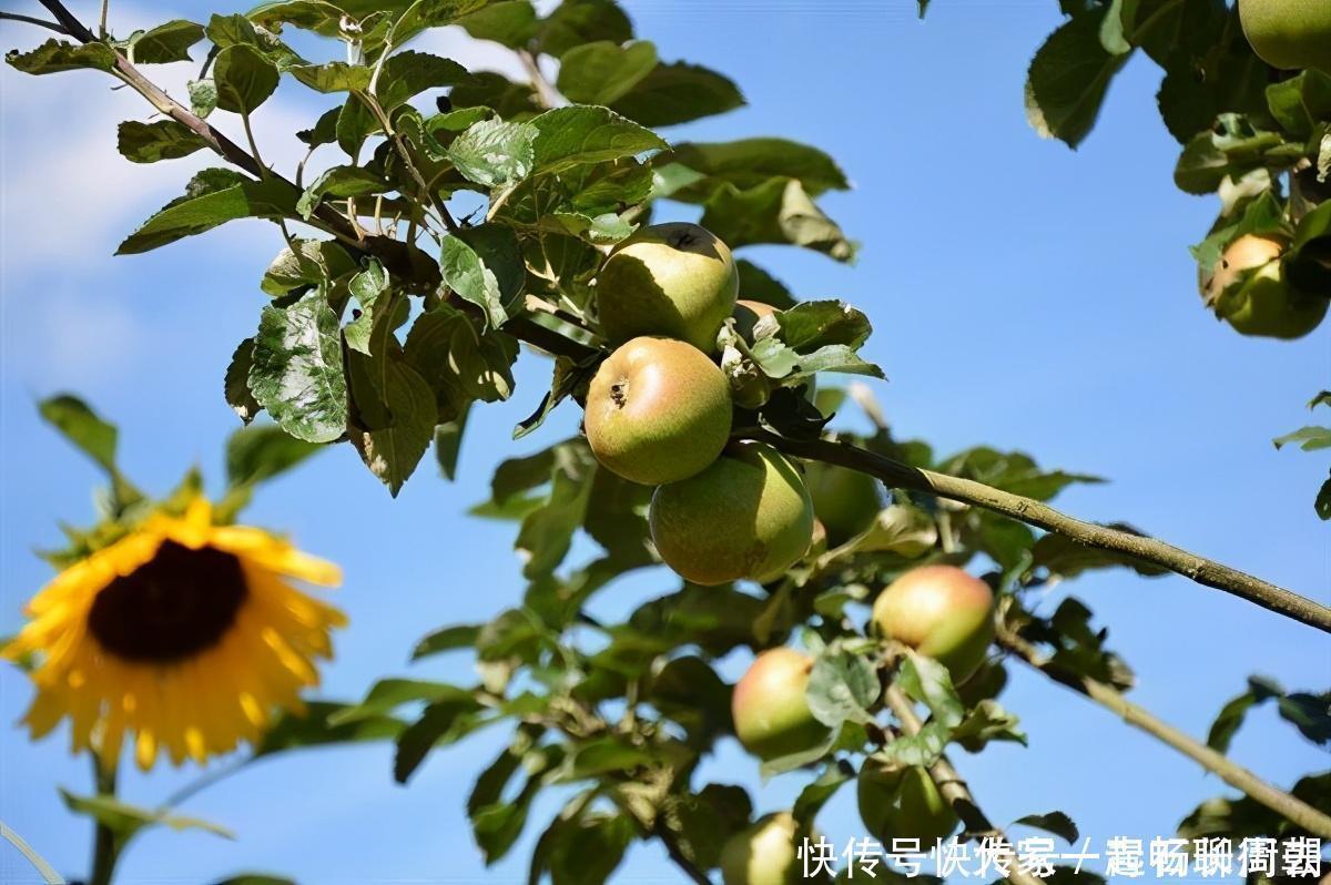 对身体最好的3种食物，营养丰富、延缓衰老，早吃早健康