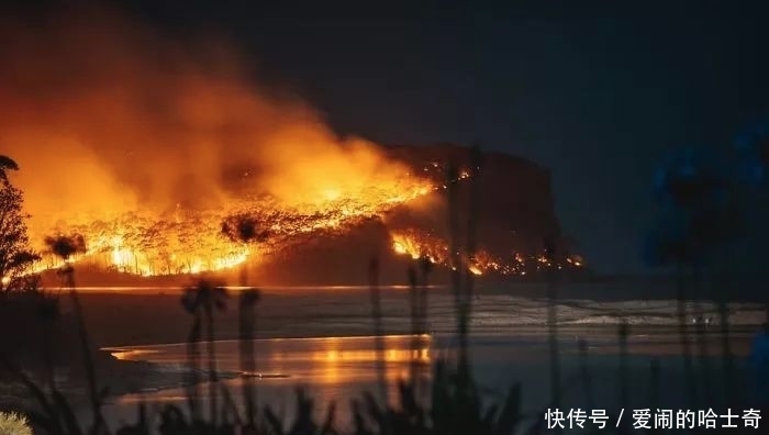 当全网都在催关晓彤给鹿晗庆生时,一场关乎全人类的灾难正悄然降临……