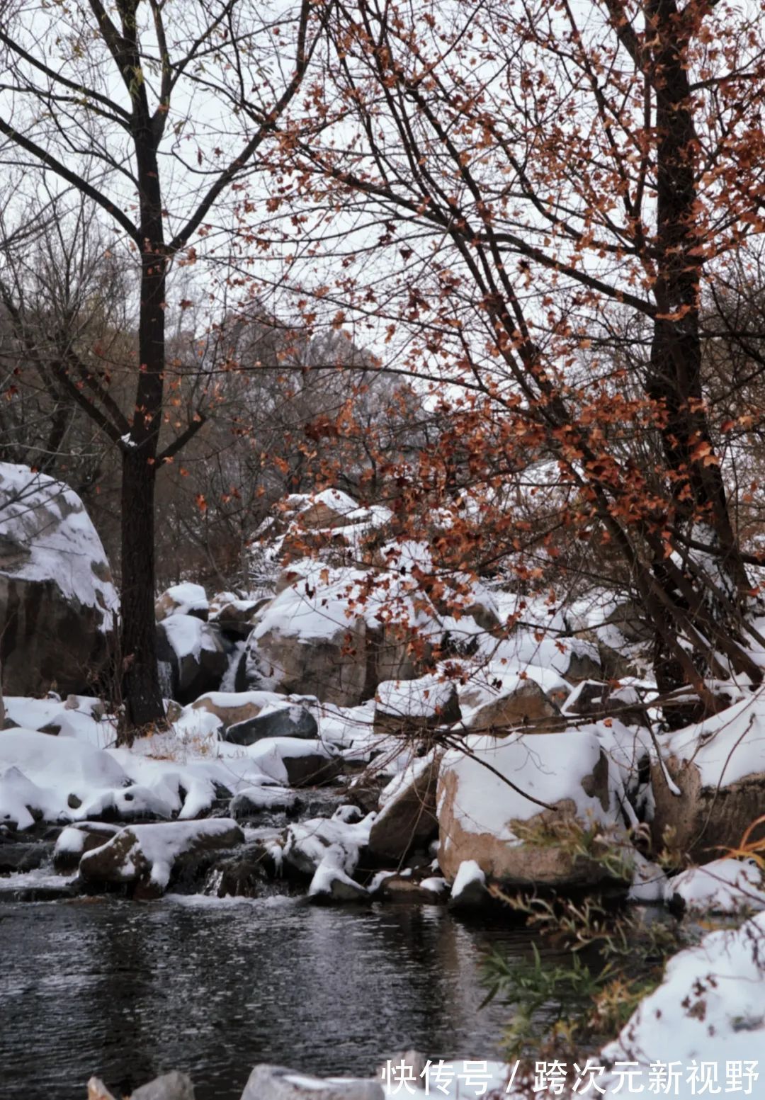 连环画|容朵儿民宿冬景：雪的可爱处在于它的广被大地，覆盖一切，没有差别