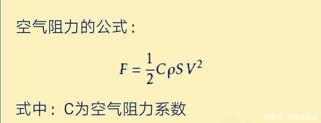 蚂蚁从多高的地方摔下来会阵亡？100米和10厘米只是时间不同