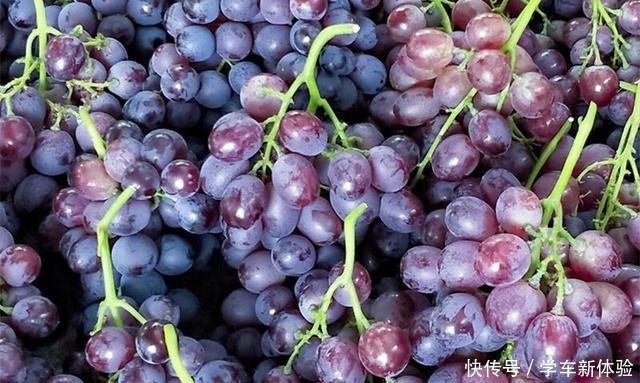 买葡萄时,聪明人看到这4种白送都不要,商贩从不让家人吃