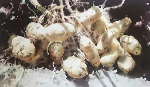 美术学院$城市人物水彩画│城市在她的笔下,充斥着温馨和随意