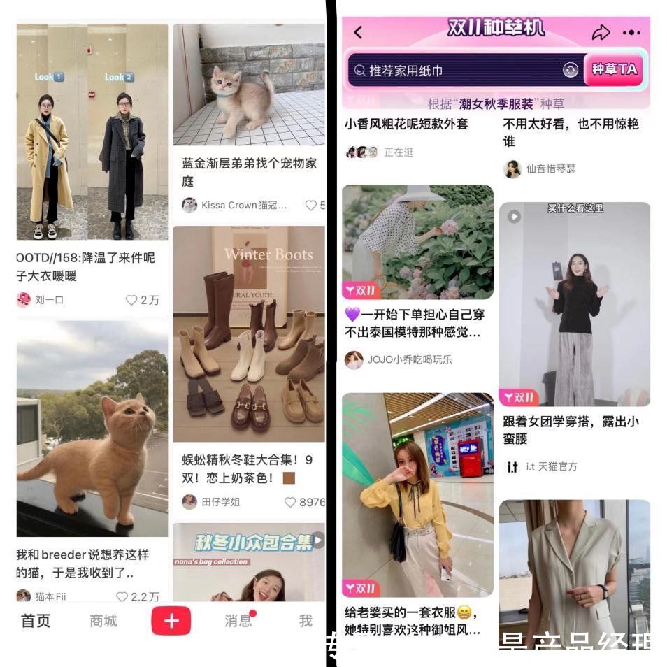 双11|淘宝+小红书﹥抖音？