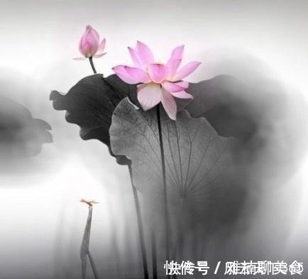 人生在世@佛教最经典的24句话,修身养性,不看是你的损失!