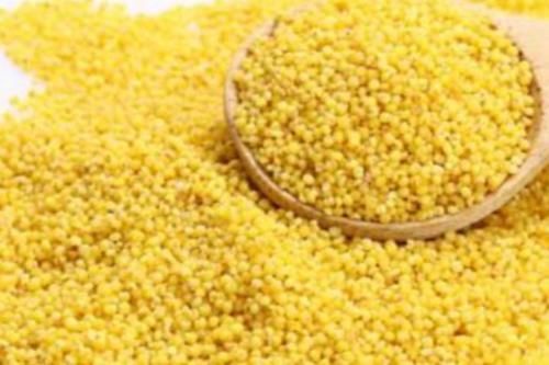 增强|宝宝满6个月以后，多吃这几种辅食，增强抵抗力，还能促进发育！