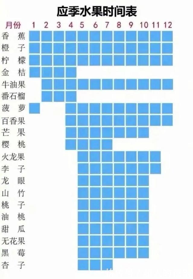 |拍迪士尼烟花翻车现场 冷段子2008