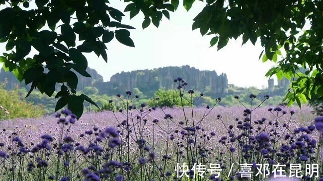 gdp|虎年迎来昆明刚需买房的好时机,你还不“上车”吗?