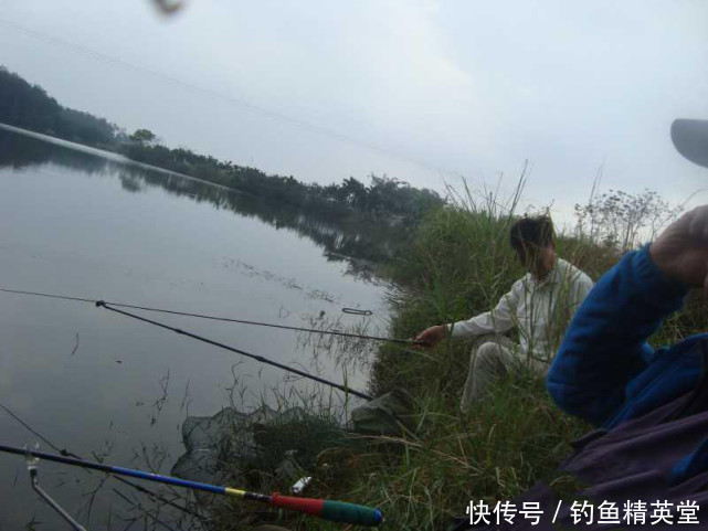 冬天如何钓罗非?我的方法很简单,运气好的时候能钓一二十斤