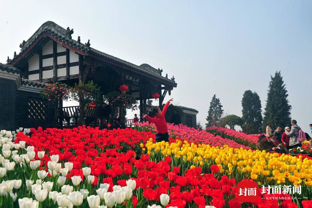 成都|踏春赏花去哪里？这份指南请收好 成都首次发布公园城市春花观赏指数