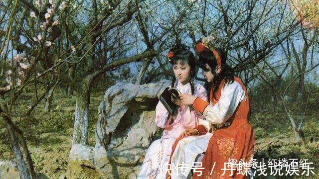 林黛玉$偌大荣国府,谁才是真心爱贾宝玉?第33回宝玉遭笞挞,照出众生相