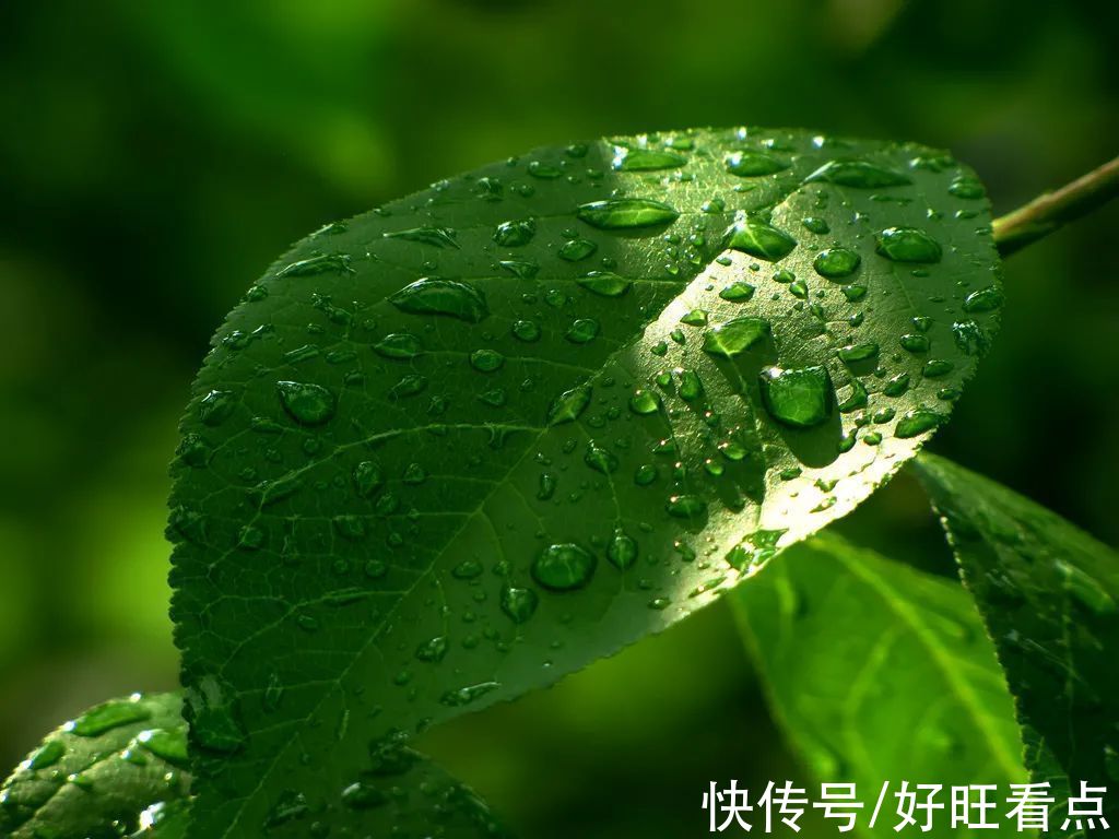 叶子|魅力陕西行·雨后，寻觅镇坪最诗意的秋天