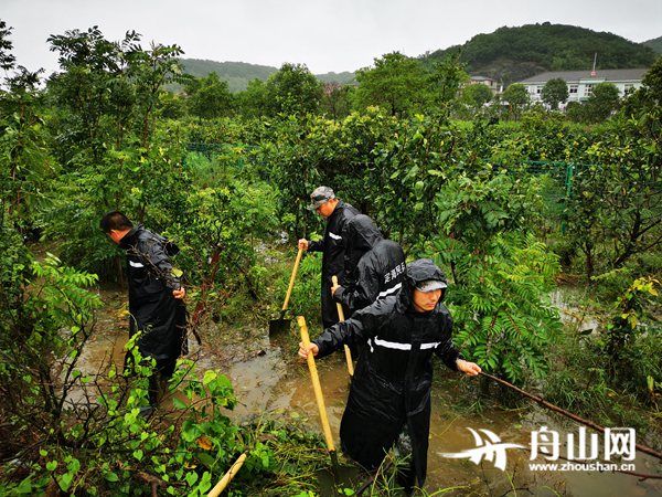 邹训永|舟山网·大海网：“烟花”不美,美的是逆风而行的他们