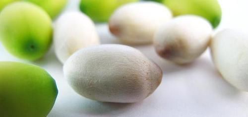 替代品|安眠药“替代品”被找到,并非酸枣仁,泡水喝点,酣然入睡到天亮