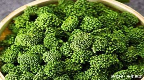 想长寿全靠吃,3种食物不能少,活血化瘀,补血益气,有益健康