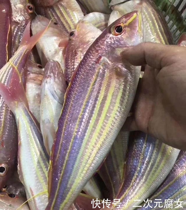 行家|以后去市场买这5种鱼,连鱼铺老板都会夸你是行家
