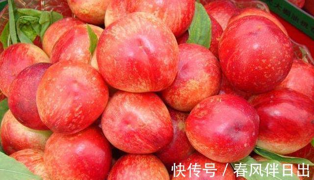 维生素c|女性不想显老，不妨多吃此果，美白护肤，补益气血、养阴生津