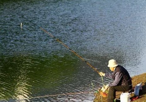 麝香|野生水域如何钓鲫鱼,掌握这些你就知道怎么钓了