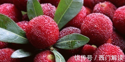 你绝对没见过的奇特的瓜果蔬菜!大开眼界!