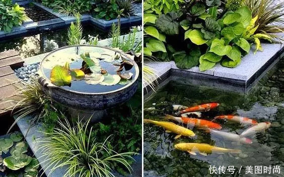 13个庭院鱼池设计,在院里建造一个假山鱼池,赏花观鱼太美了