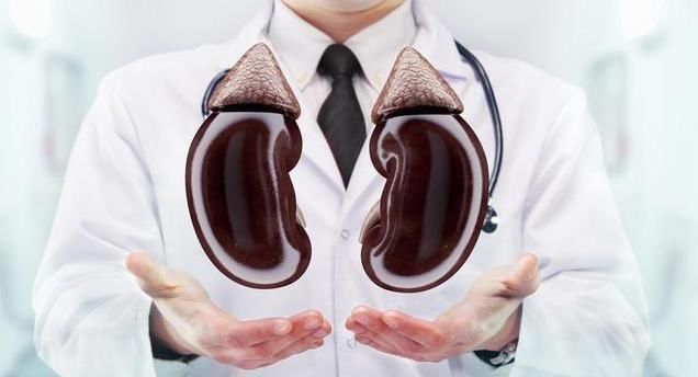 脚趾|真正的“养肾高手”揭晓，并不是韭菜，而是它，别再傻傻忽视了