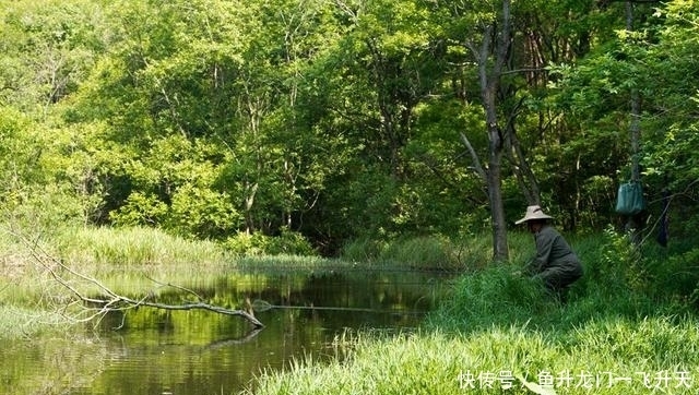 闲聊没有水草等障碍物的亮水区,如何使用传统钓法作钓