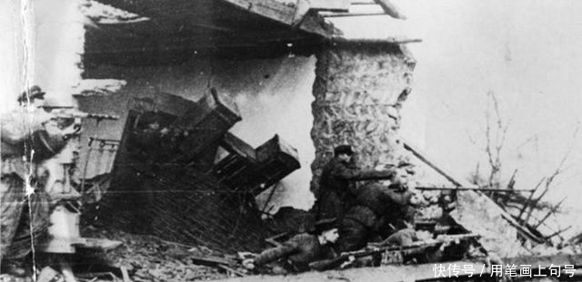 等身|视死如归的钢铁之师,荣誉等身的近卫军NO.1,塔曼师的二战岁月