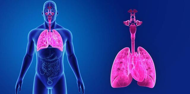 长期失眠|睡眠是最好的补药！睡不着的人，6种食材泡水喝，失眠不再困扰你