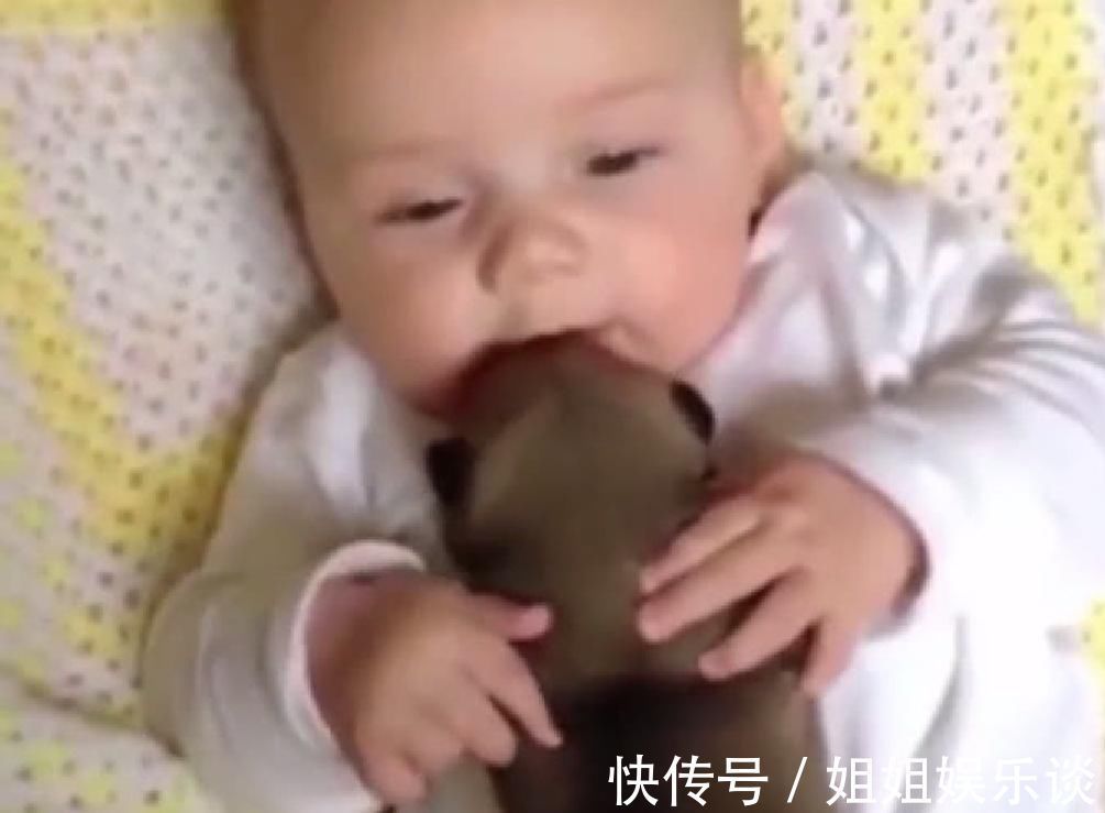 宝妈|小宝宝抱着小奶狗睡觉，下一秒小宝宝的举动让宝妈笑的肚子疼！
