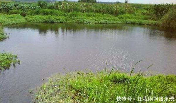 冬季钓鲫鱼,避开这四种钓位,这里下钩10有9空!