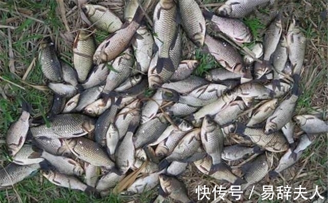 冬季钓鱼,4不宜3不钓,避开这些“坑”,冬钓再也不走空