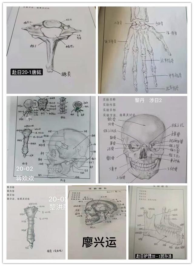 灵魂|手绘如打印！岳阳职院护理专业显现一批“灵魂画手”