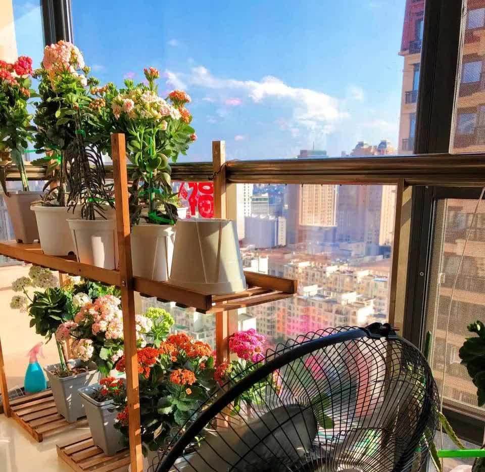 这5种花,开春翻盆很重要,一整年不烂根,绿叶多开花多