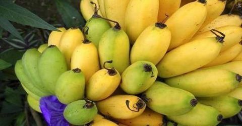 养胃|女性都想年轻，吃以下食物，健脾养胃，排毒抗衰，肌肤不显老