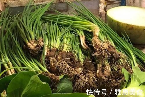 同样都是大葱，看看南方吃的大葱，再看看北方吃的大葱，我凌乱了